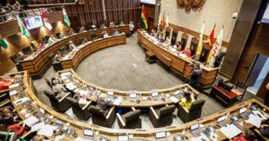 Senado aprueba tratamiento de la ley para elecciones subnacionales 2026