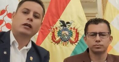 Vidovic se aparta de Lara y renuncia a la secretaría general de la Vicepresidencia